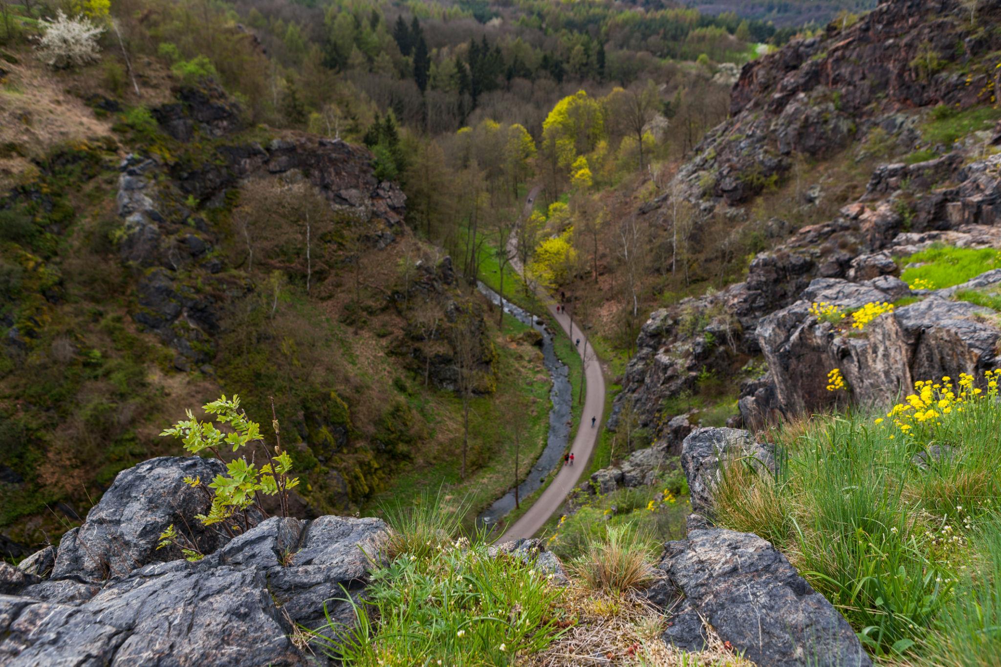 Rocky valley in Divoká Šárka nature reserve